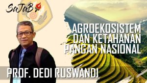 Prof Dedi Ruswandi: Agroekosistem Kunci Ketahanan Pangan di Indonesia